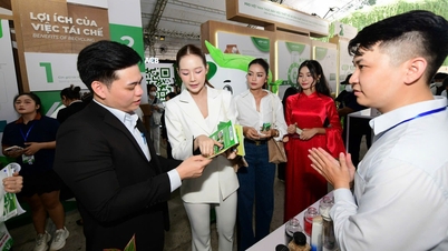 Забронюйте автомобіль Green SM на фестиваль Green Vietnam 2025 зі знижкою до 15%