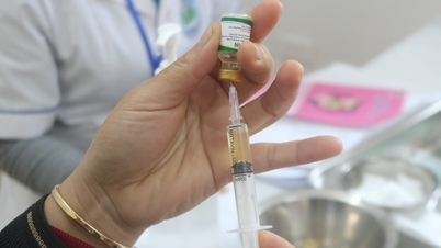 Szczepionka przeciwko HPV będzie podawana dzieciom bezpłatnie