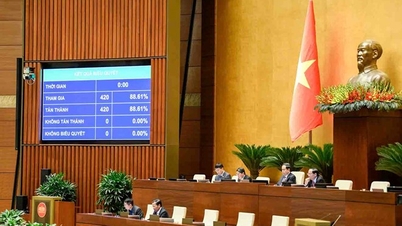 نهایی کردن بودجه اضافی بیش از ۵۳۰۰۰ میلیارد دانگ ویتنام برای مناطق محلی جهت تضمین اجرای سطح حقوق پایه