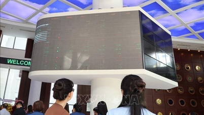 Séance du 14/11, le marché boursier s'est légèrement redressé.