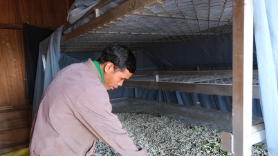 Dam Rong 4 främjar försörjningsmöjligheter för etniska minoriteter