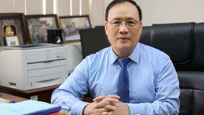 Omorganisera universitetssystemet för att skapa regionala universitet