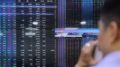 Mavi çip grupları bölündü, VN-Endeksi 1.600 puan sınırının üzerinde "kesin bir şekilde yerleşti"