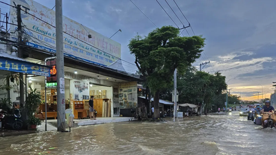 Vĩnh Long đề xuất nhiều giải pháp chống ngập do triều cường