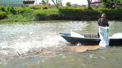 آیا پرورش پنگوسی باعث انتشار گازهای گلخانه‌ای زیادی می‌شود؟