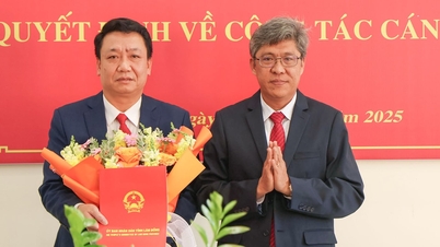 Ông Hoàng Văn Bằng làm Giám đốc Sở Ngoại vụ Lâm Đồng