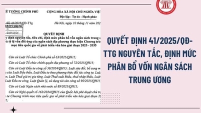 Nguyên tắc phân bổ nguồn chương trình mục tiêu quốc gia phát triển Văn hoá