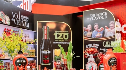 Từ căn bếp Việt đến không gian tiêu dùng hiện đại: Masan Consumer dẫn đầu gần 80% danh mục ngành hàng FMCG