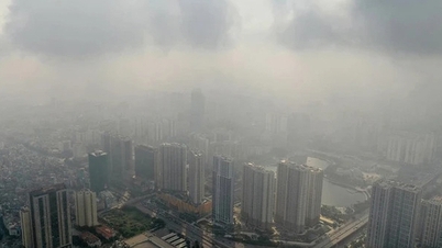 Tìm giải pháp cấp bách ứng phó với ô nhiễm không khí trong 6 tháng tới