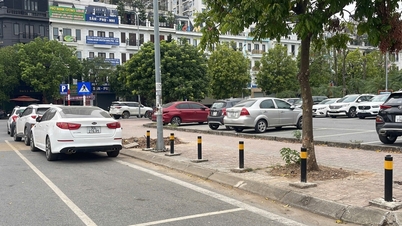 Công khai lựa chọn thuê đất ngắn hạn tại ô quy hoạch E.1/DS (C2-3/CL1), phường Bồ Đề