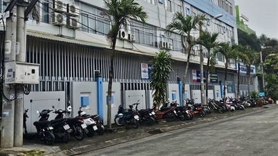 Genel incelemede hala "kaçak" faaliyet gösteren bir dizi özel okul tespit edilemedi mi?