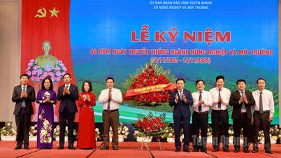 Viering van de 80e verjaardag van de traditionele Dag van de Landbouw en het Milieu (14 november 1945 - 14 november 2025)