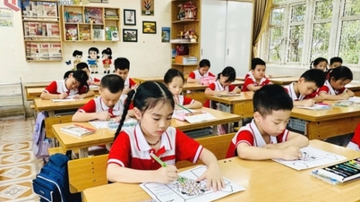 স্কুলের দুধ - ভবিষ্যৎ প্রজন্মের জন্য কোয়াং নিনের নতুন মানবিক নীতি