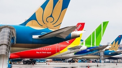 Do not hide information about plane accidents