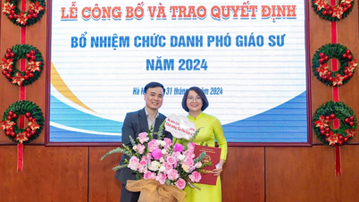 Delegering av myndighet til å vurdere og ansette professorer og førsteamanuenser: Trenger plan og nøye forberedelser