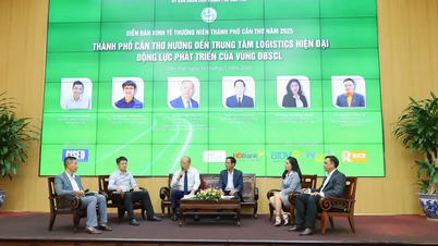 कैन थो सिटी का लक्ष्य एक आधुनिक लॉजिस्टिक्स केंद्र विकसित करना है