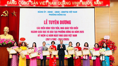 Secția Dong Da onorează profesorii tipici și avansați