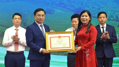 Agricultura e Meio Ambiente de Tuyen Quang - 80 anos de inovação e desenvolvimento