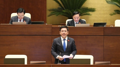 Daripada orientasi strategik kepada tindakan khusus: Kementerian Perindustrian dan Perdagangan merealisasikan pandangan Kesimpulan 207-KL/TW Sekretariat melalui Projek melindungi hak pengguna bagi tempoh 2026-2030