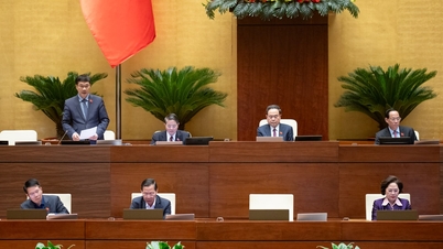 تفریق ڈپازٹ انشورنس فیس کو لاگو کرنے کے لیے روڈ میپ تجویز کرنے کی ضرورت ہے۔