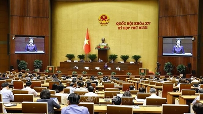 Verduidelijking van de juridische waarde van de inspectieactiviteiten van de depositogarantiestelsels