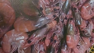 Συνέχιση της προσωρινής αναστολής του έργου του Διευθυντή του Δημοτικού Σχολείου Trung Vuong