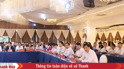 חיבור סחר וקידום סחר בין טאנה הואה לדה נאנג