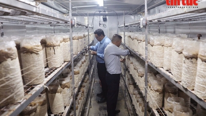 Menerapkan kecerdasan buatan untuk meningkatkan nilai produk pertanian Vietnam di era digital