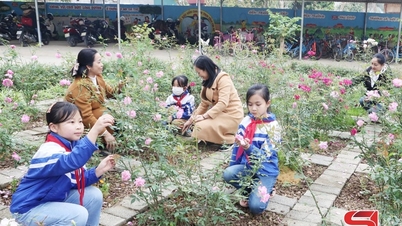 Erbjuder kakor för att skydda miljön grön, ren och vacker