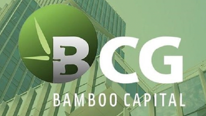 Bamboo Capital akan mengadakan mesyuarat agung pemegang saham yang luar biasa, dijangka memecat beberapa siri pemimpin