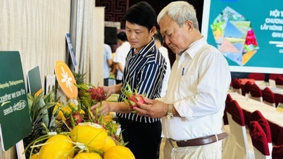 ការលើកកម្ពស់ការផ្លាស់ប្តូរឌីជីថល និងការកសាងសមត្ថភាពសម្រាប់សហករណ៍កសិកម្មនៅតំបន់ដីសណ្ដទន្លេមេគង្គ