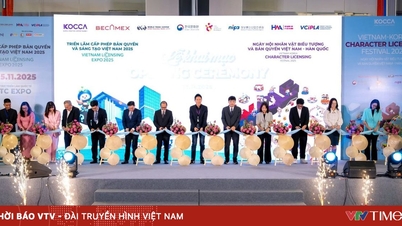 VKCLF 2025 - កិច្ចសហប្រតិបត្តិការខ្លឹមសារច្នៃប្រឌិតវៀតណាម - កូរ៉េ