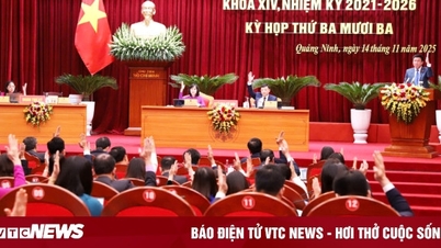 Quảng Ninh chi hơn 1.700 tỷ đồng cho chương trình sữa học đường