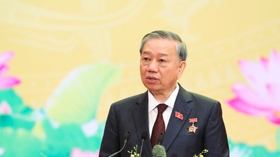 ল্যামের সাধারণ সচিব: গণতন্ত্র, শৃঙ্খলা এবং স্বচ্ছতা নিশ্চিত করা