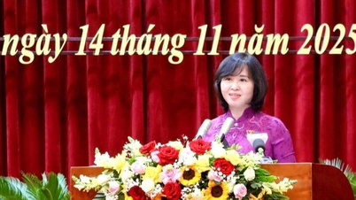 HĐND Quảng Ninh thông qua 11 nghị quyết quan trọng, gắn liền cuộc sống