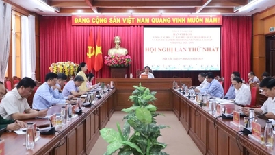 Dak Lak opprettet styringskomiteen for valget av representanter til nasjonalforsamlingen...