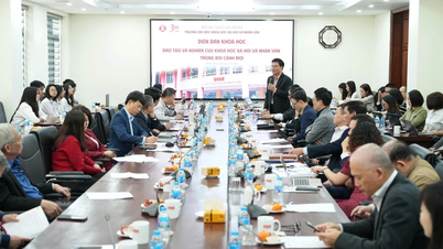 Opplæring og forskning innen samfunnsvitenskap og humaniora i en ny kontekst