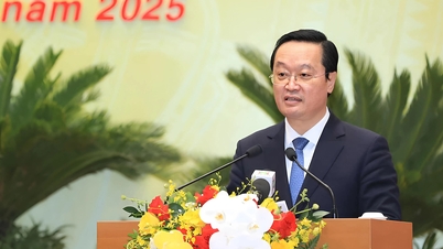 Nguyễn Đồu Trốn, Hanoi új elnökének különleges előnyei