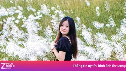 Incheckning vid de vita vassfälten i Da Nang