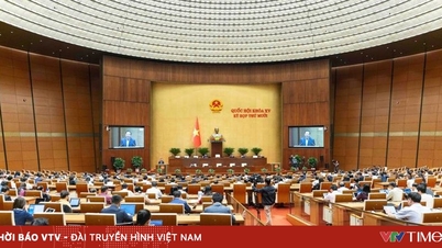 Kommentare zum Entwurf des Baugesetzes (geändert) recherchieren und vollständig einarbeiten