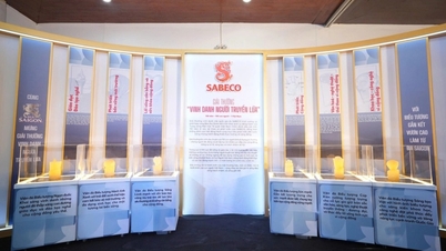 “Honoring the Torchbearer” Award: Honoring the silent contributions