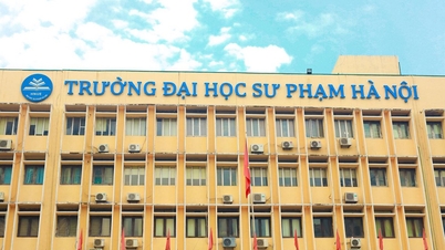 האוניברסיטה הלאומית לחינוך של האנוי הקימה את בית הספר למדעי התפתחות הילד