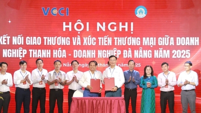 การเสริมสร้างการเชื่อมโยงการค้าระหว่างธุรกิจ Thanh Hoa และ Da Nang