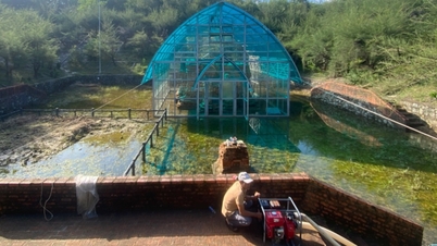 Duizend jaar oude Cham-toren, een bijzonder overblijfsel dat nog steeds onder water staat