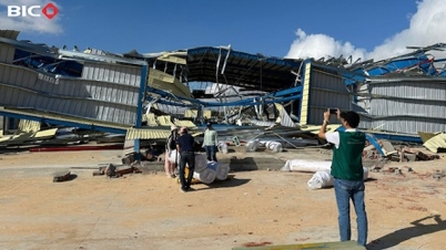 Pojišťovna BIDV (BIC) po bouři č. 13 obdržela více než 120 škodních případů.