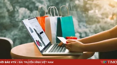 Vietnamesisk e-handel växer med kvalitet