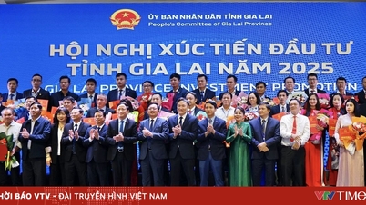 Gia Lai lockar investeringar tack vare sin "röda mattan"-policy