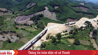 দা নাং এবং গিয়া লাই হয়ে ট্রুং সন ডং রুটে প্রাকৃতিক দুর্যোগের জরুরি অবস্থা ঘোষণা করা হচ্ছে।