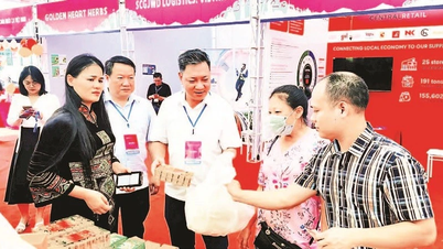 Thai Nguyen menganjurkan acara e-dagang