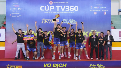 Ta reda på vem som vann den nationella studentbasketturneringen 2025